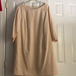 NWT Baby Pink Dress